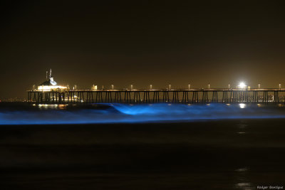 Bioluminescence at Imperial Beach