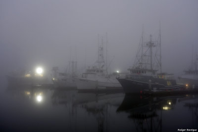 foggy morning at the harbor