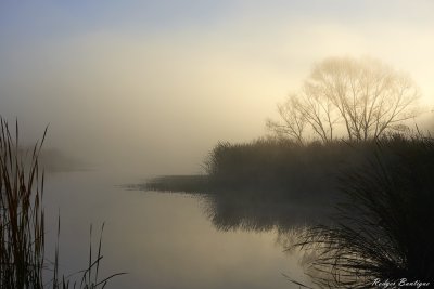 Foggy morning at Kumeyaay Lake
