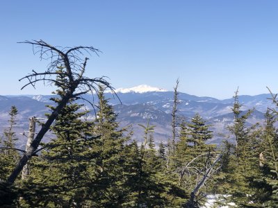 Passaconaway view from the beggining of Walden trail (top)