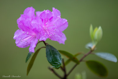 g12/02/5602/3/169125576.unsInM0L.jpg
