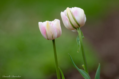 g12/02/5602/3/169175829.RS2yeye8.jpg