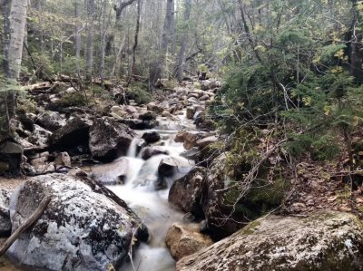 Hancocks 31May2019