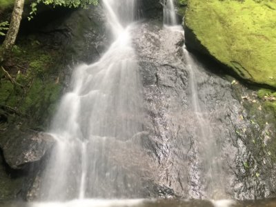 Kinsmans 1Jul2019