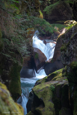 Avalanche Creek