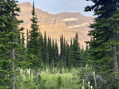 Hike to Piegan Pass