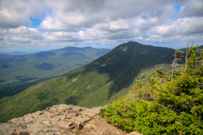 Liberty from Flume