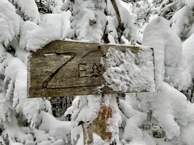 Zealand summit