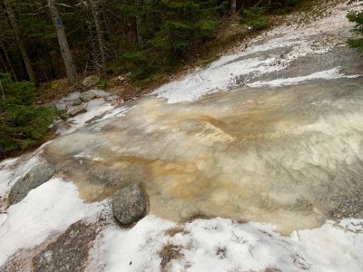 Ice on the Blueberry ledge trail