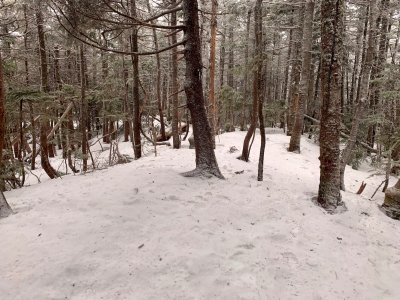 Passaconaway summit