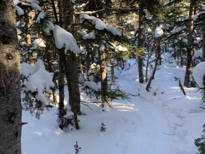g12/02/5602/3/170335276.1fjTwKRn.jpg