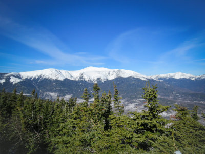 Presidentials