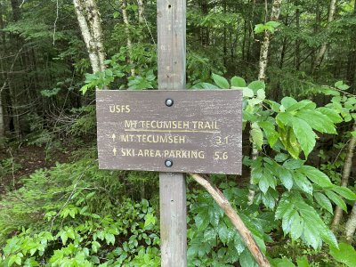 Tecumseh 17Jul2021