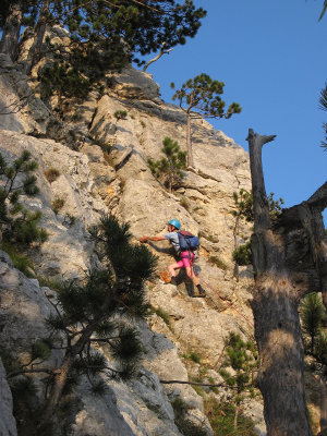 Hohe Wand, Wienersteig 2009