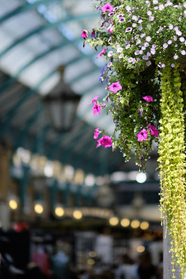 Covent Garden, August 2019