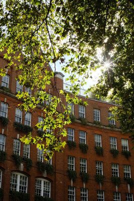 Bloomsbury, October 2019