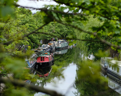 Regent's Canal, May 2020