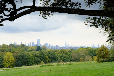 Hampstead Heath, October 2020