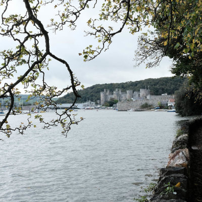 Conwy Castle