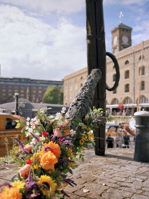 St. Katharine's docks, September 2022