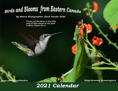 Calendar SERIES - Above, Title Page,  Ruby-throated Hummingbird.jpg