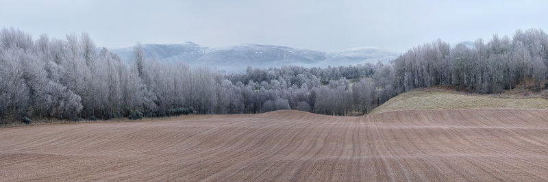 Winter Fields Grantown