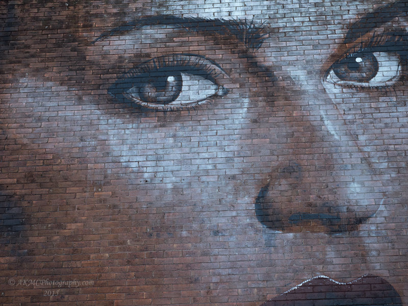 20150222_005618 The (Painted) Faces Of Wollongong III - Up Close (Sun 22 Feb)