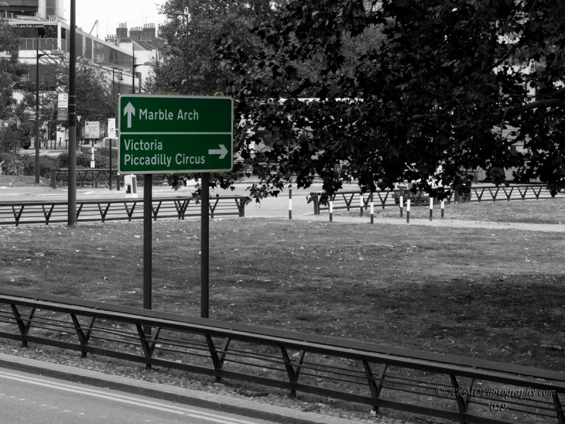 190909_130810_0215 Choose Your Path