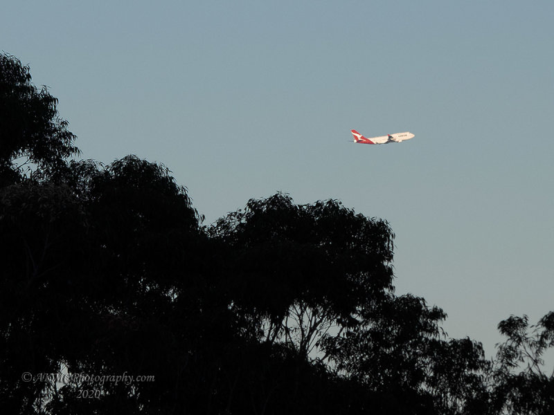 200722_165648_4013 Leavin', Is That Jet Plane, No It Ain't Comin' Back Again (Wed 22 Jul 20)