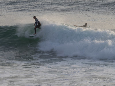 Surfing In The Northerm Illawarra