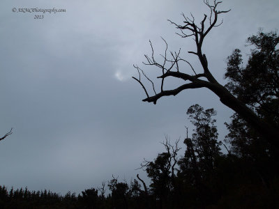 20130808_111034_8080681 - Rollin' On The (Margaret) River