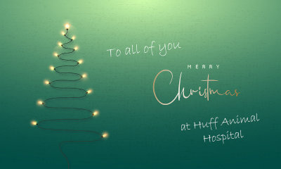 Christmas Tree Formed Garland Lights On Green Wall Background. Xmas Greeting Card. Glowing Lights Is