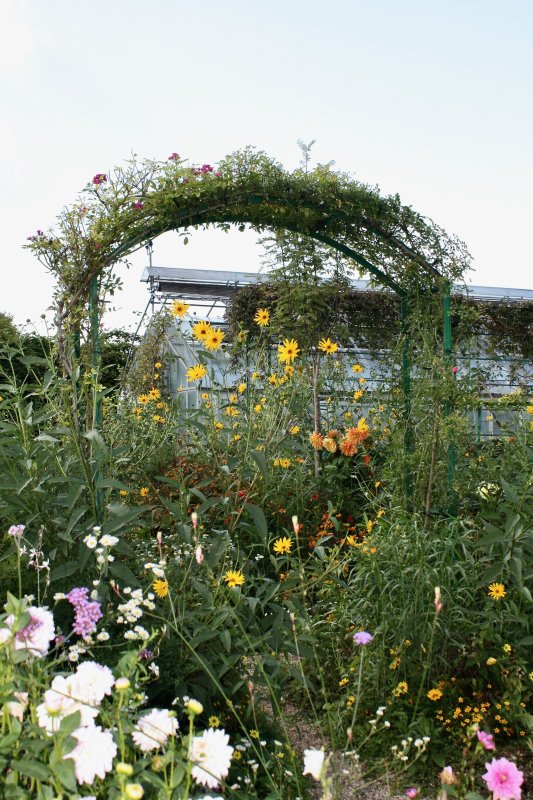 Monets Garden - 15 of 24.jpeg