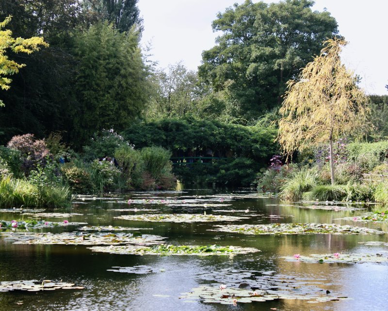 Monets Garden - 9 of 24.jpeg