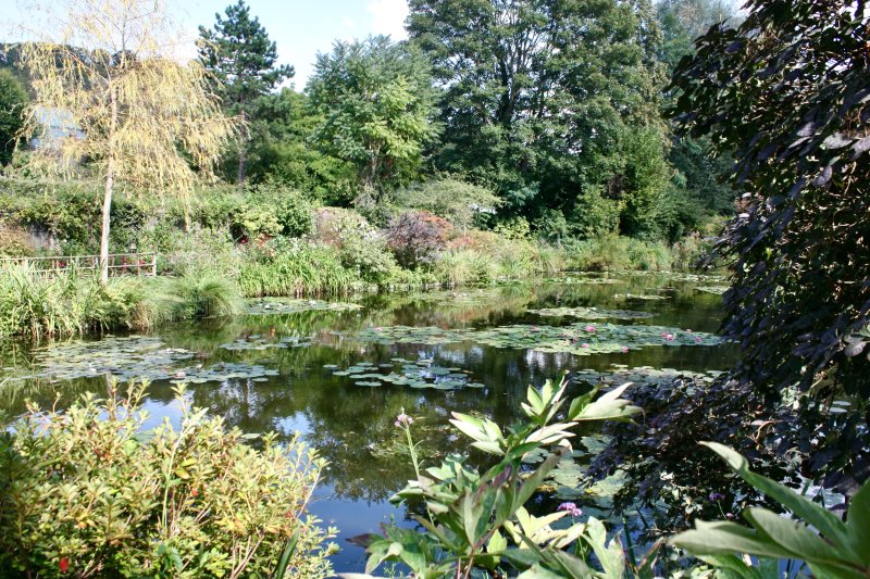 Monets Garden - 5 of 24.jpeg