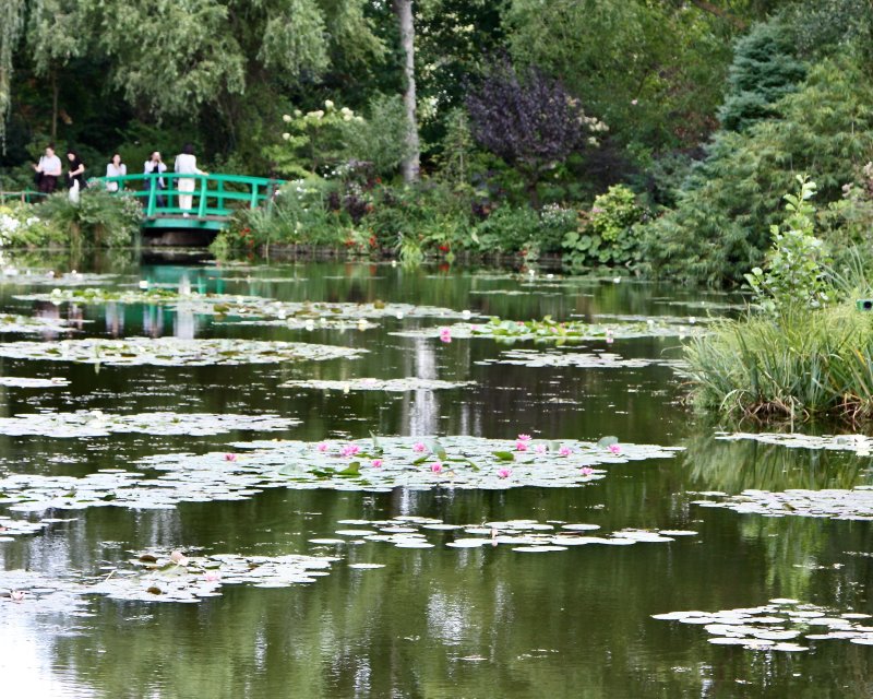 Monets Garden - 4 of 24.jpeg