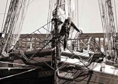 lynx sailor.jpg