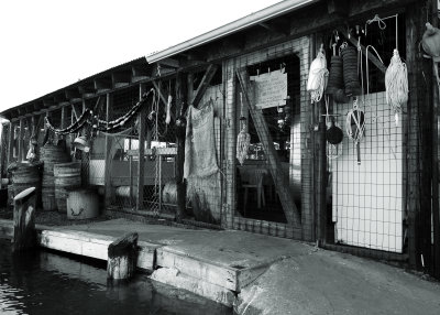 Crab House.jpg