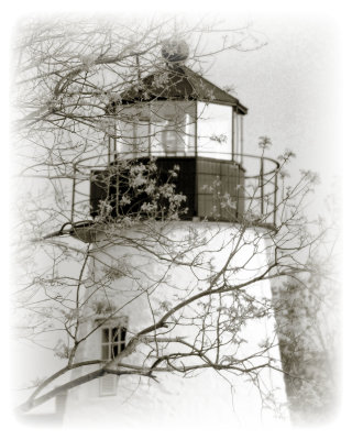 Concord Point Light.jpg