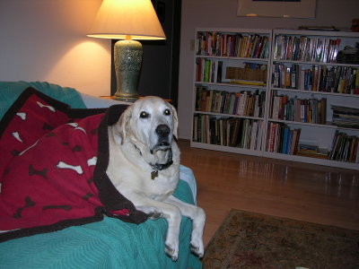 DSCN0049_resize.JPG