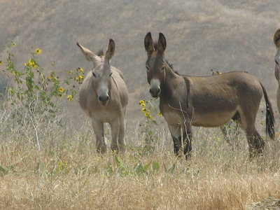 Moreno Valley