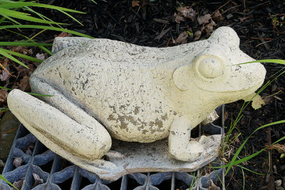 Frog sculpture.