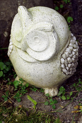 Owl sculpture.