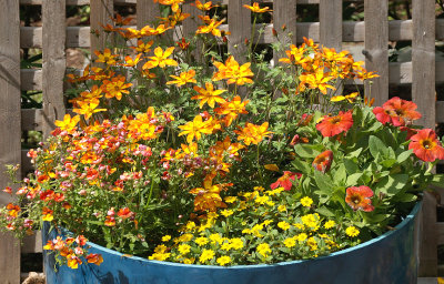 Blue planter.