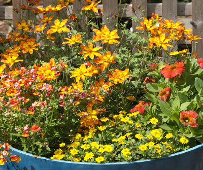 Blue planter, detail.