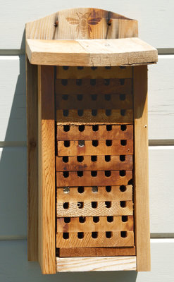 Mason bee box.