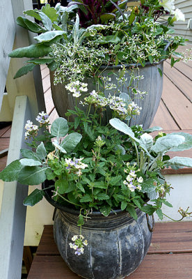 Pots on steps.