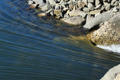 The culvert.