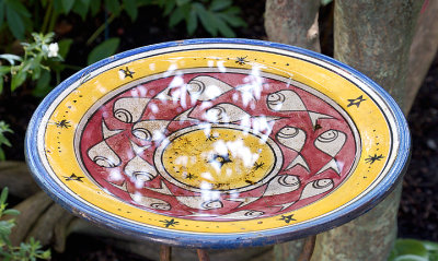 Ceramic birdbath.