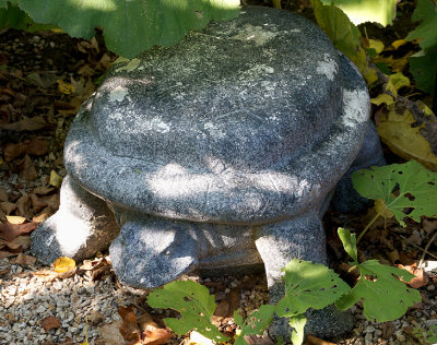 Stone turtle in hops arbor.